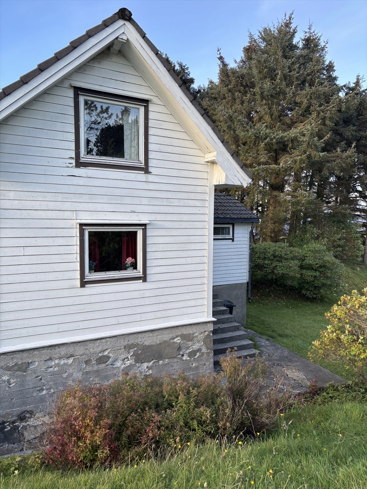 Privat bilde fra høsten 2025 Galleribilde