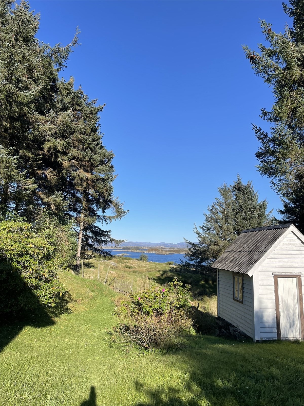 Privat bilde fra høsten 2025 Galleribilde