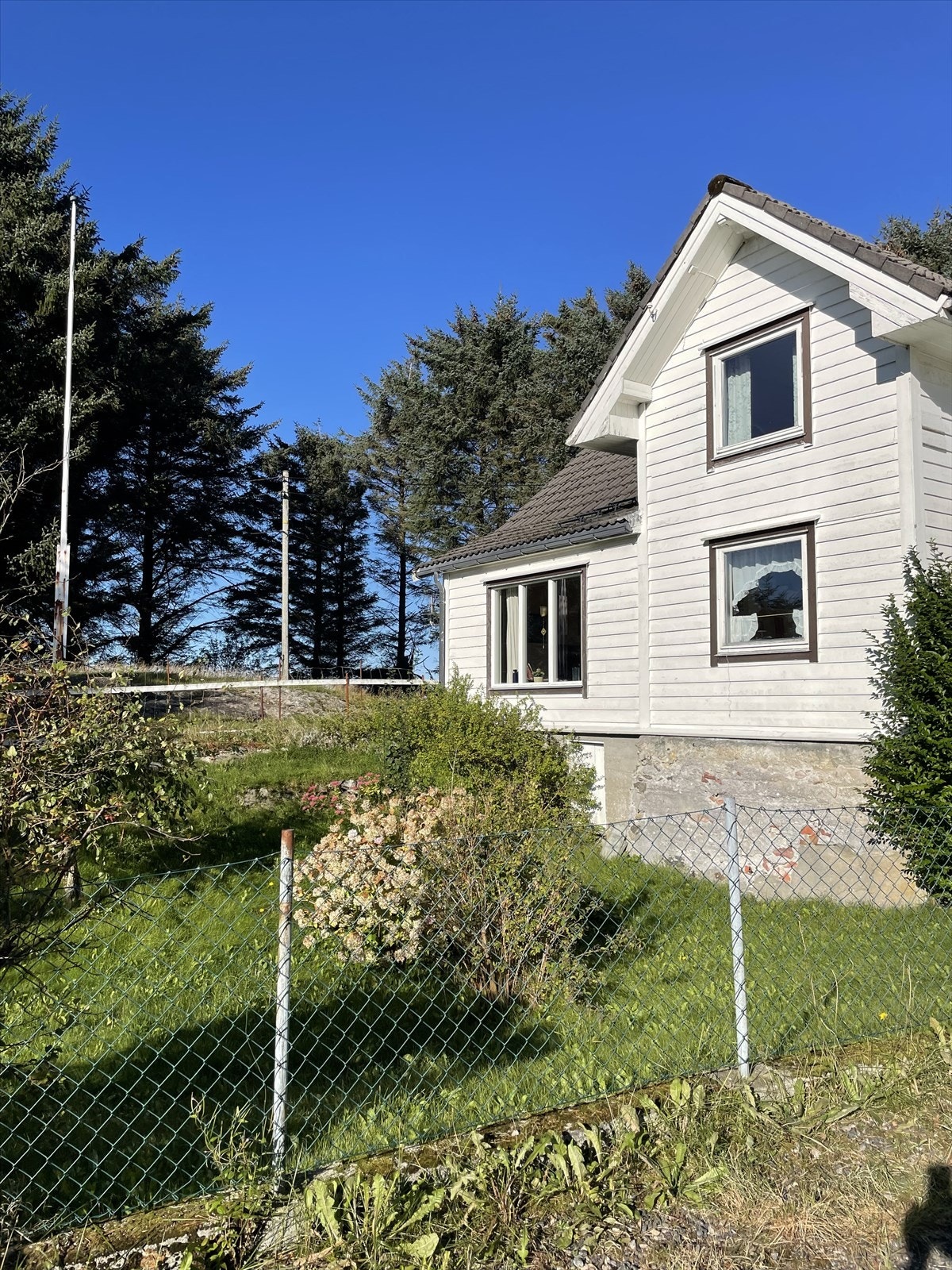 Privat bilde fra høsten 2025 Galleribilde