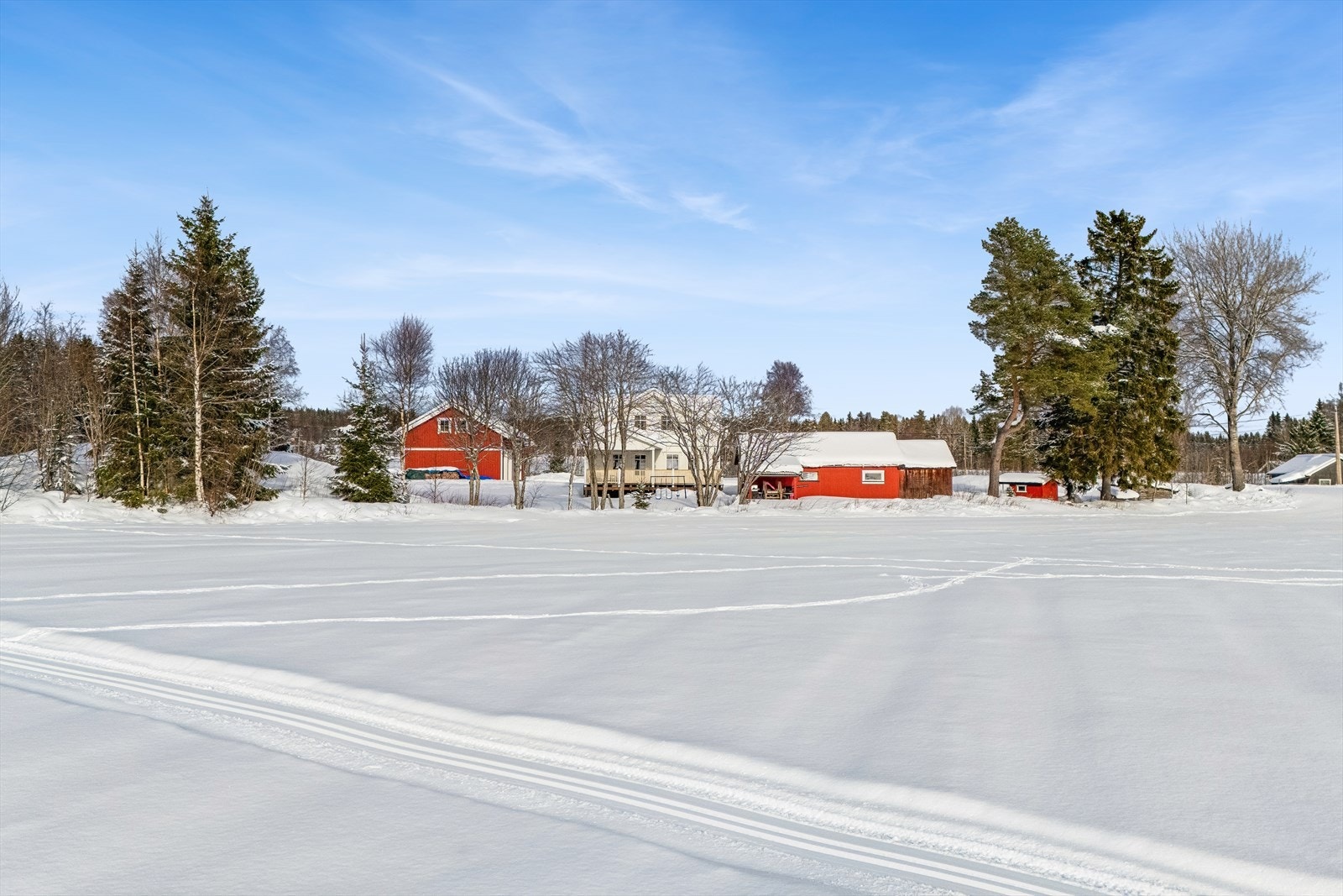 Skiløype rett utenfor døra! Galleribilde