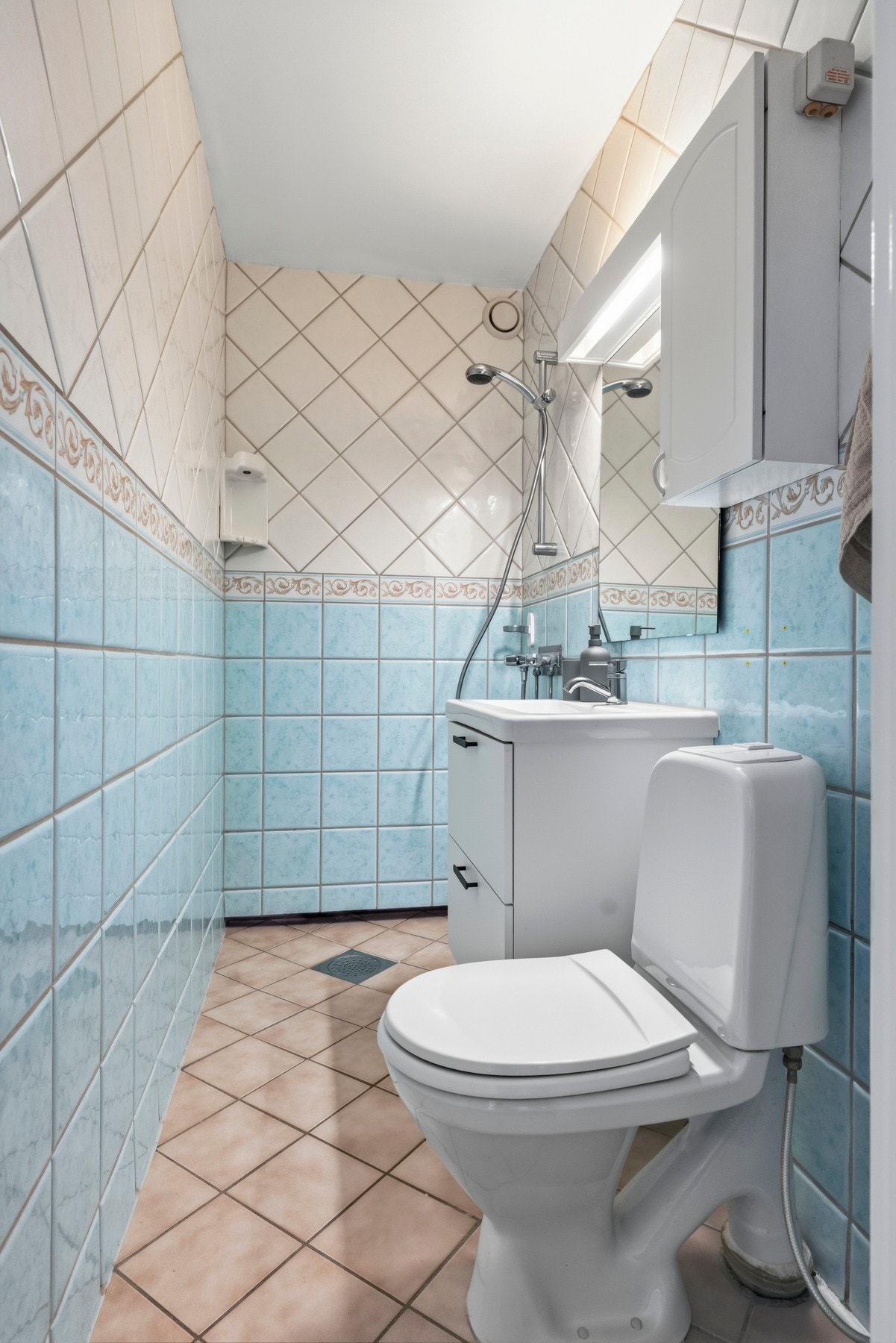 Badet ved entreen er utstyrt med servant, gulvstående toalett og dusj på gulv Galleribilde