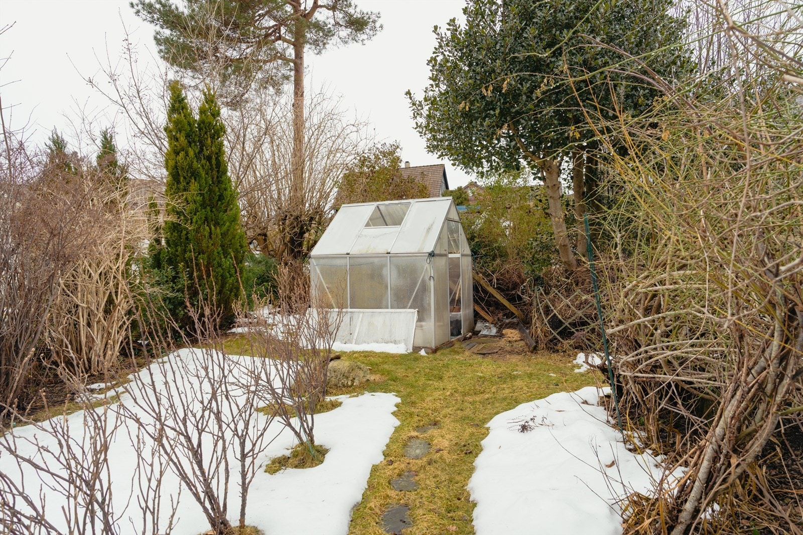 Drivhus i hage Galleribilde