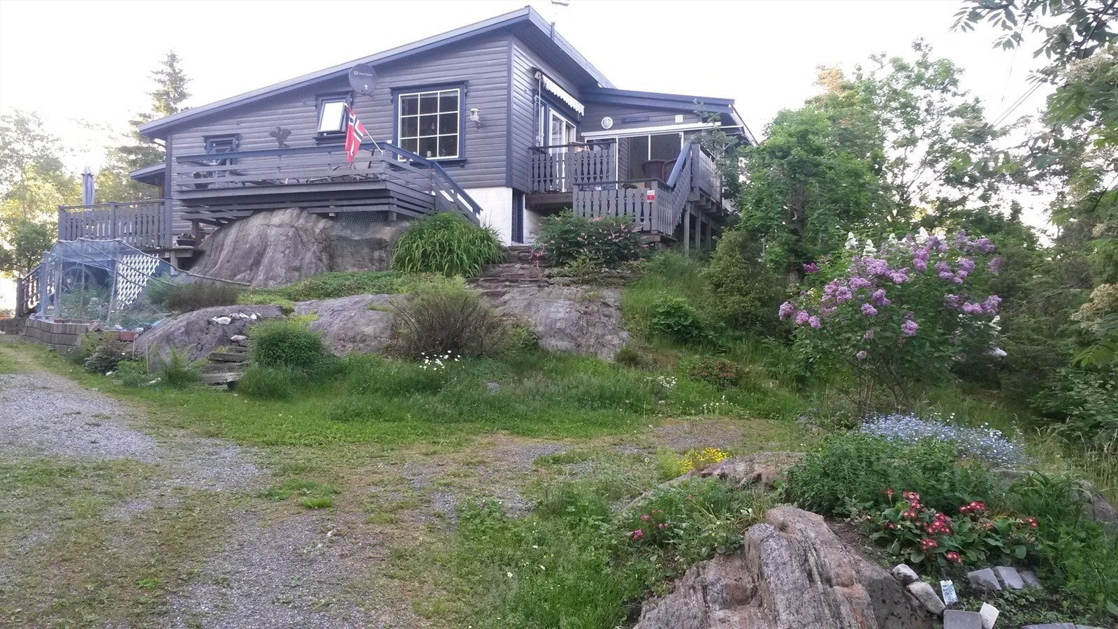 Lave skuldre . høyt på en kolle. Galleribilde