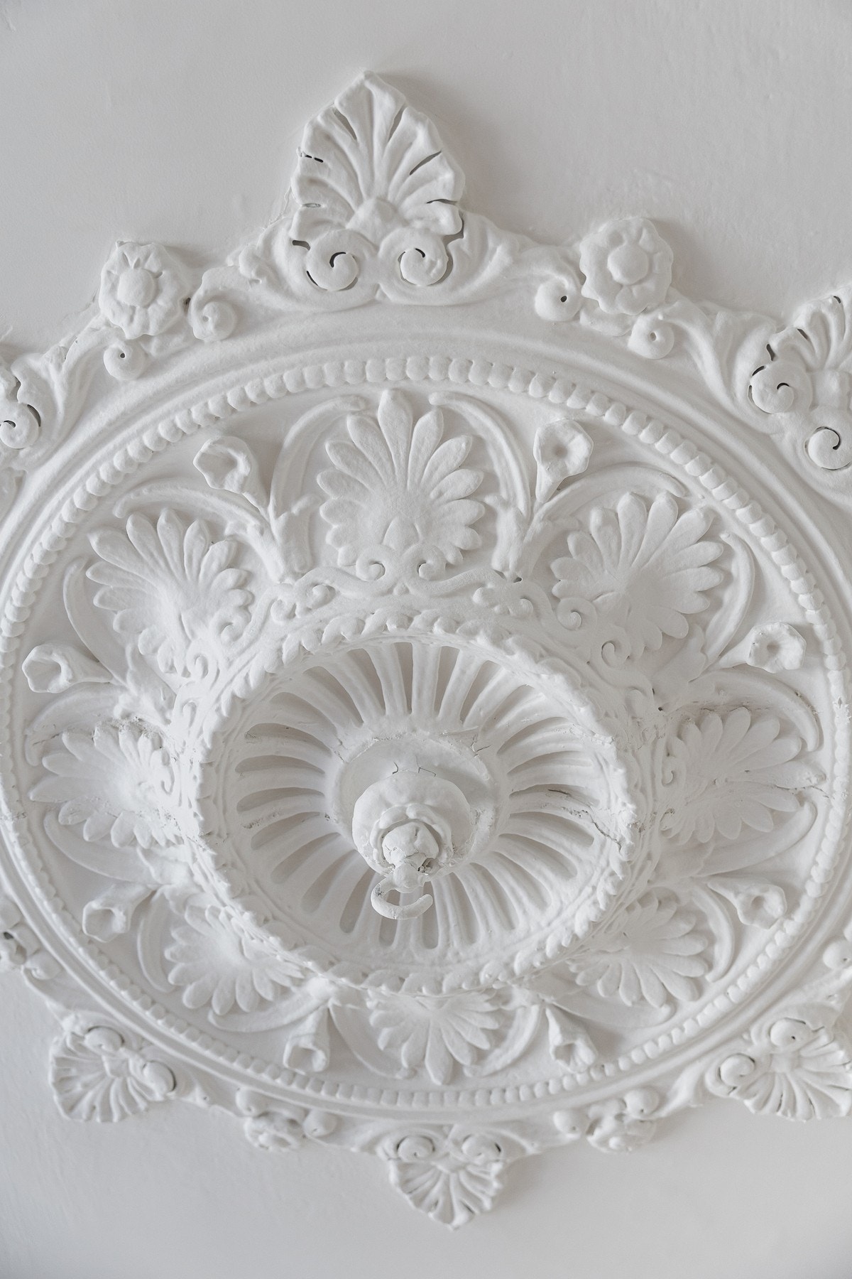 Original rosett og stukkatur i himling. Galleribilde