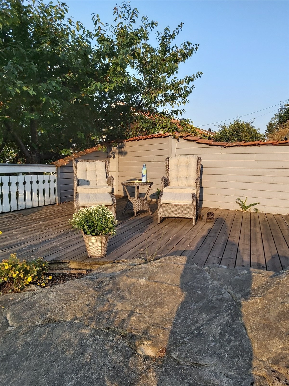 6ny.jpg Galleribilde