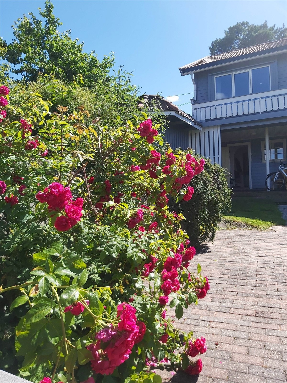 4ny.jpg Galleribilde