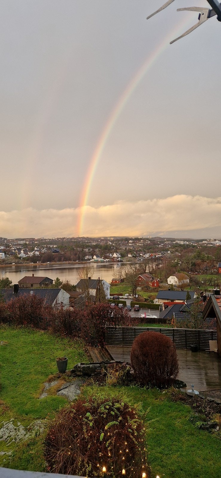 2 ny.jpg Galleribilde