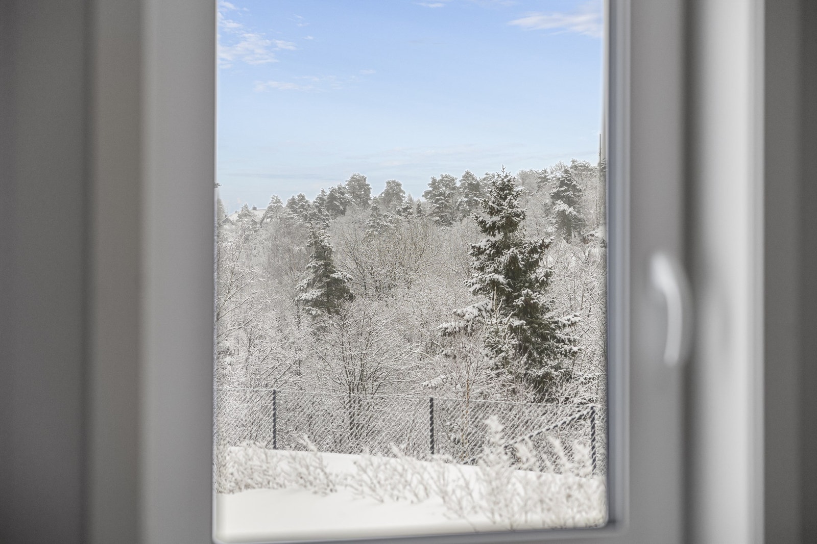 Utsikt til skogen fra det ene soverommet. Galleribilde