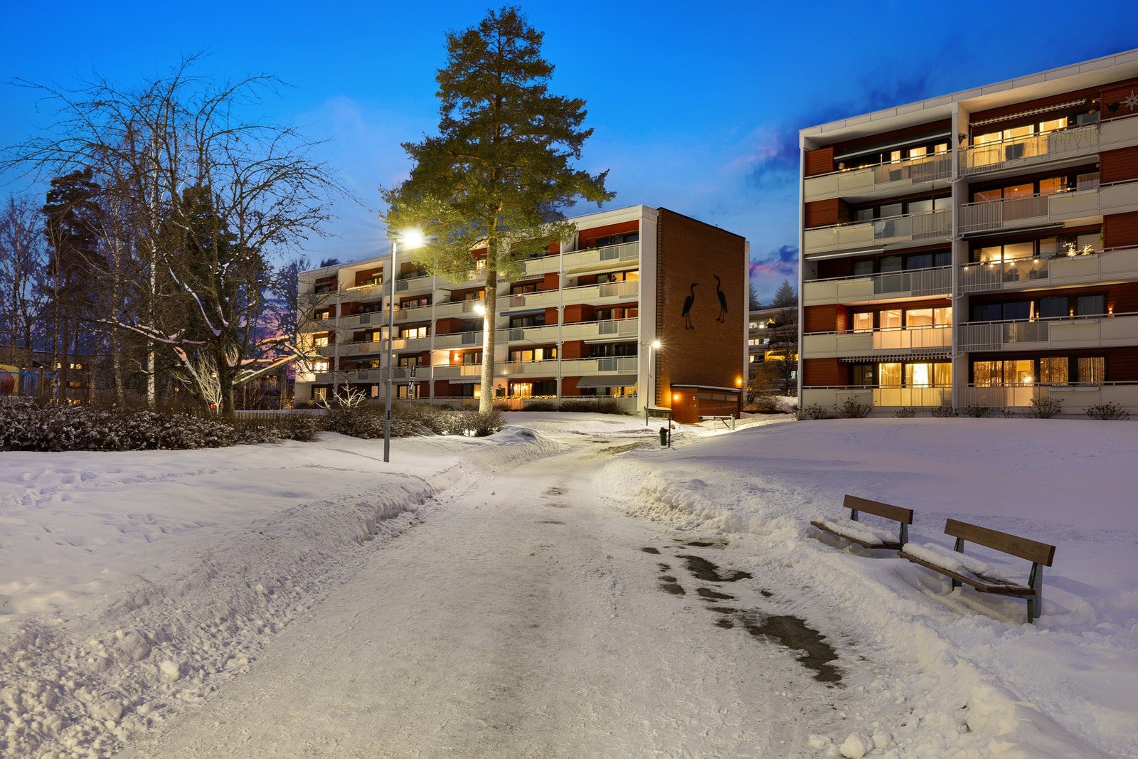Blokken ligger innerst på feltet, grensende til skogen Galleribilde