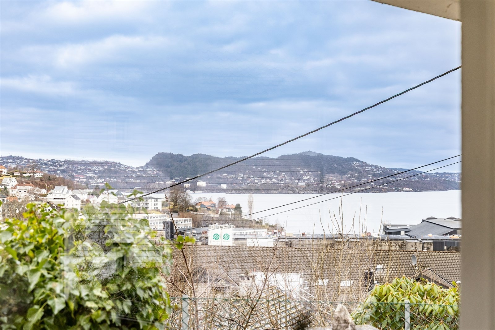 Her kan du se været endre seg fra time til time, og årstidene endre seg fra uke til uke. Se den grønne sommeren gli over i fantastiske høstfarger. Se snøen legge seg fint om vinteren før alt på nytt blomstrer når våren melder sin ankomst. Galleribilde