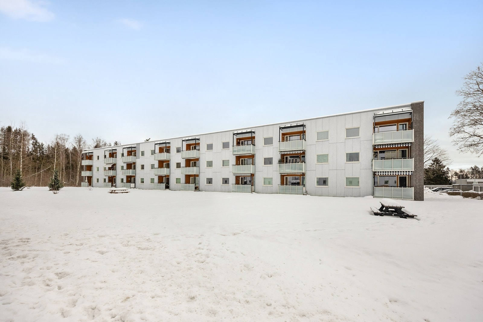 Velkommen til visning! Galleribilde