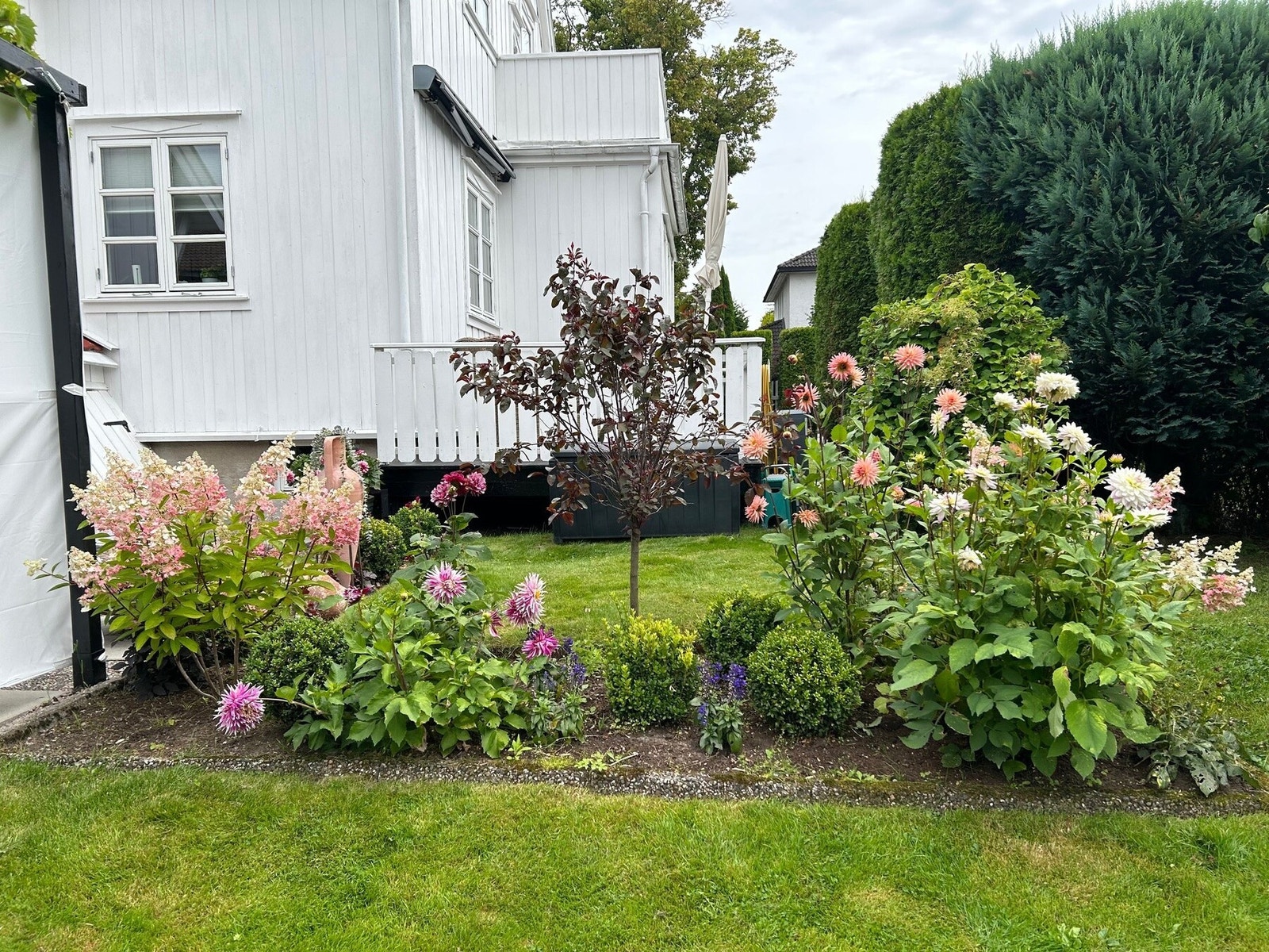 Hagen er fantastisk! Galleribilde