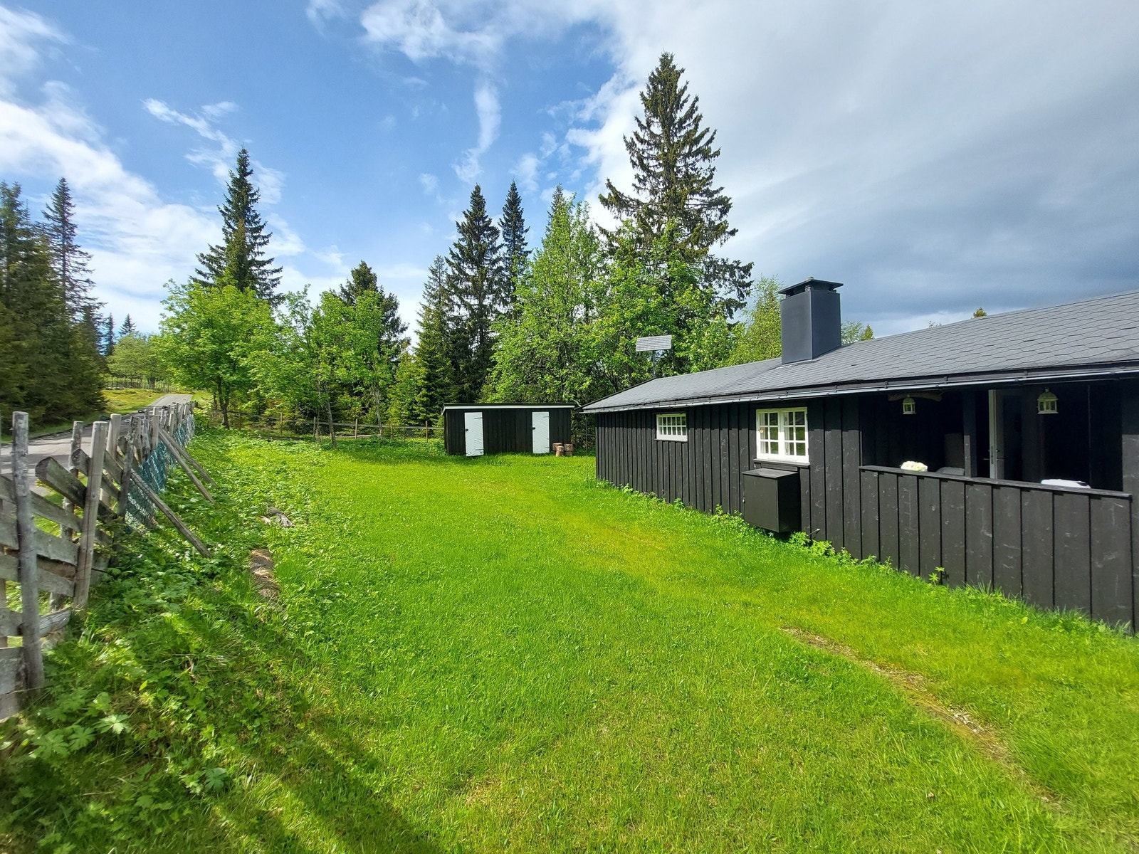 Hytta i sommersola. Galleribilde