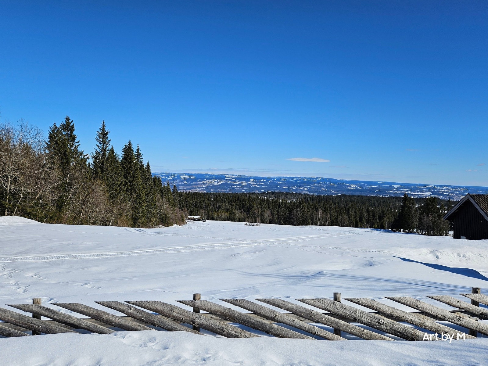 Flott utsikt. Galleribilde