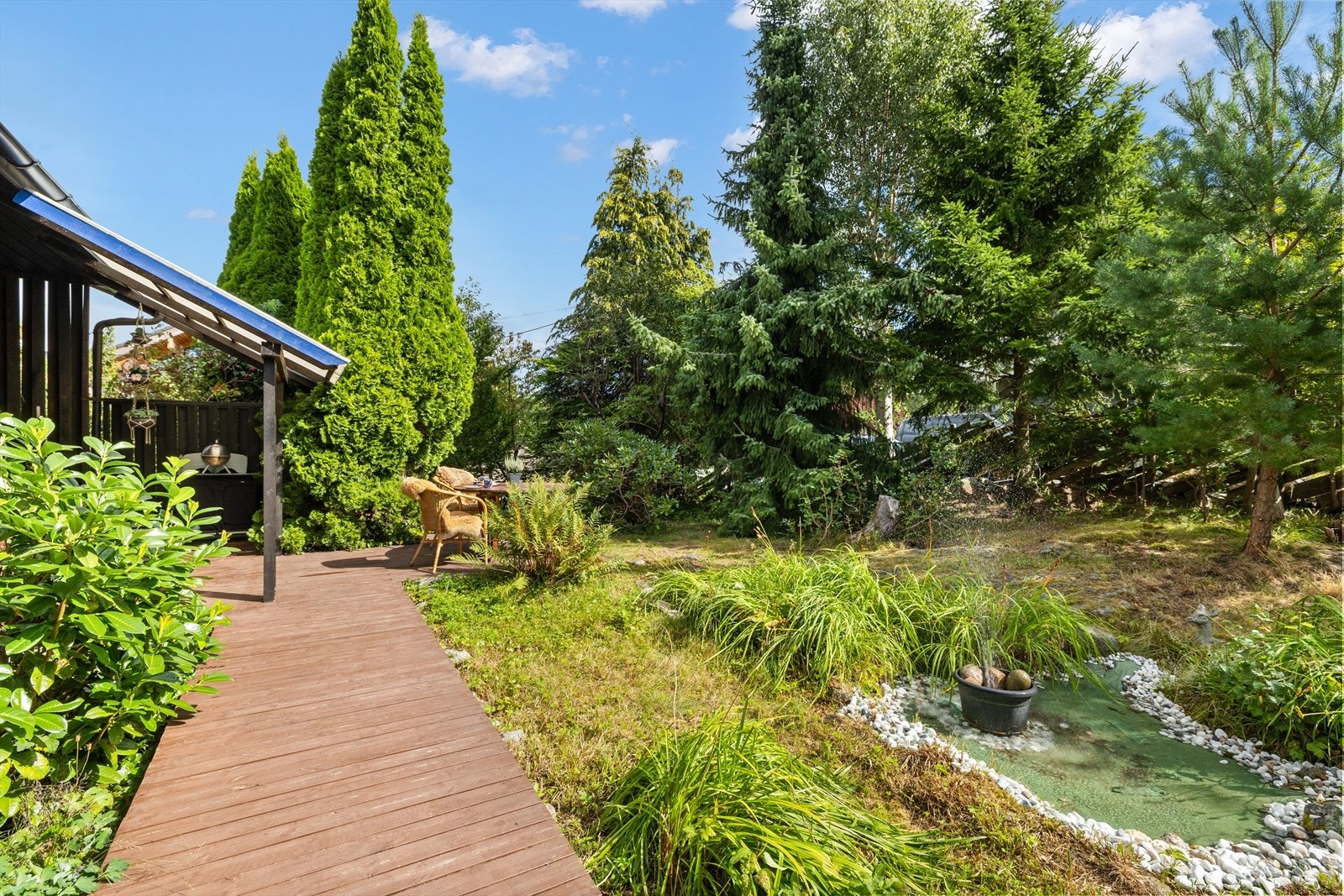 Hagen på sommeren. Galleribilde