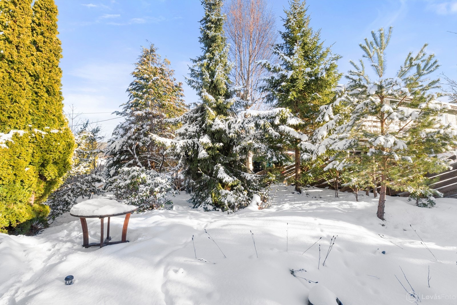 En godt avskjermet tomt. Galleribilde