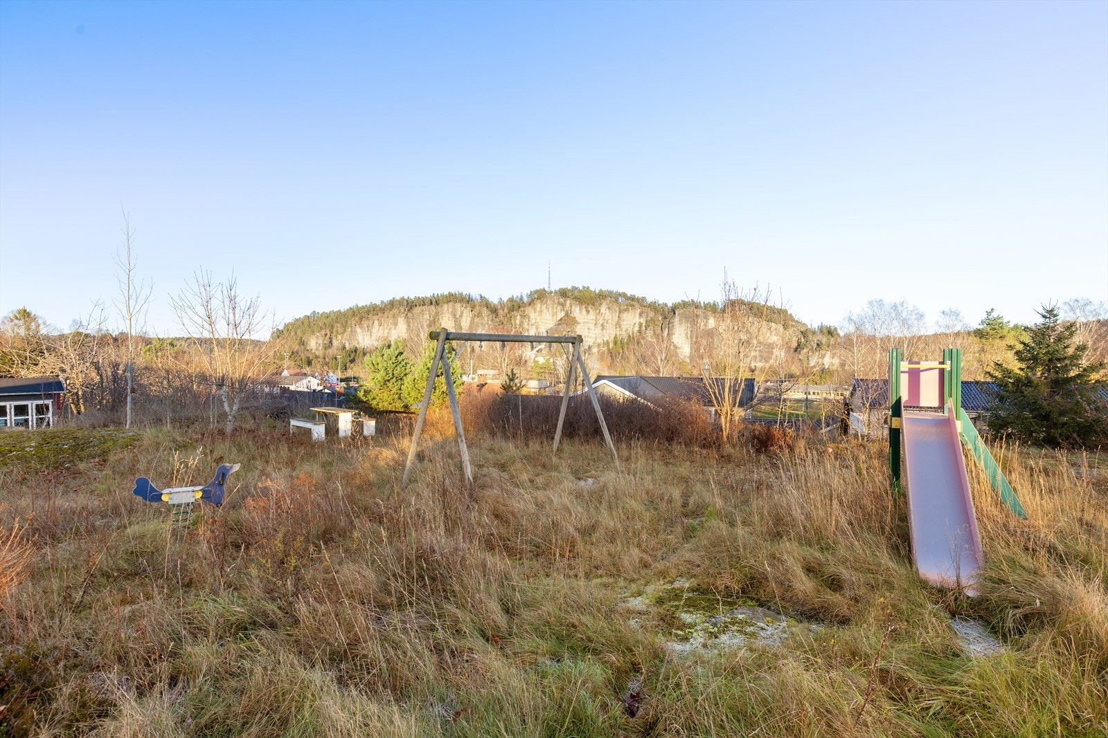 Fellesareal for området. Galleribilde