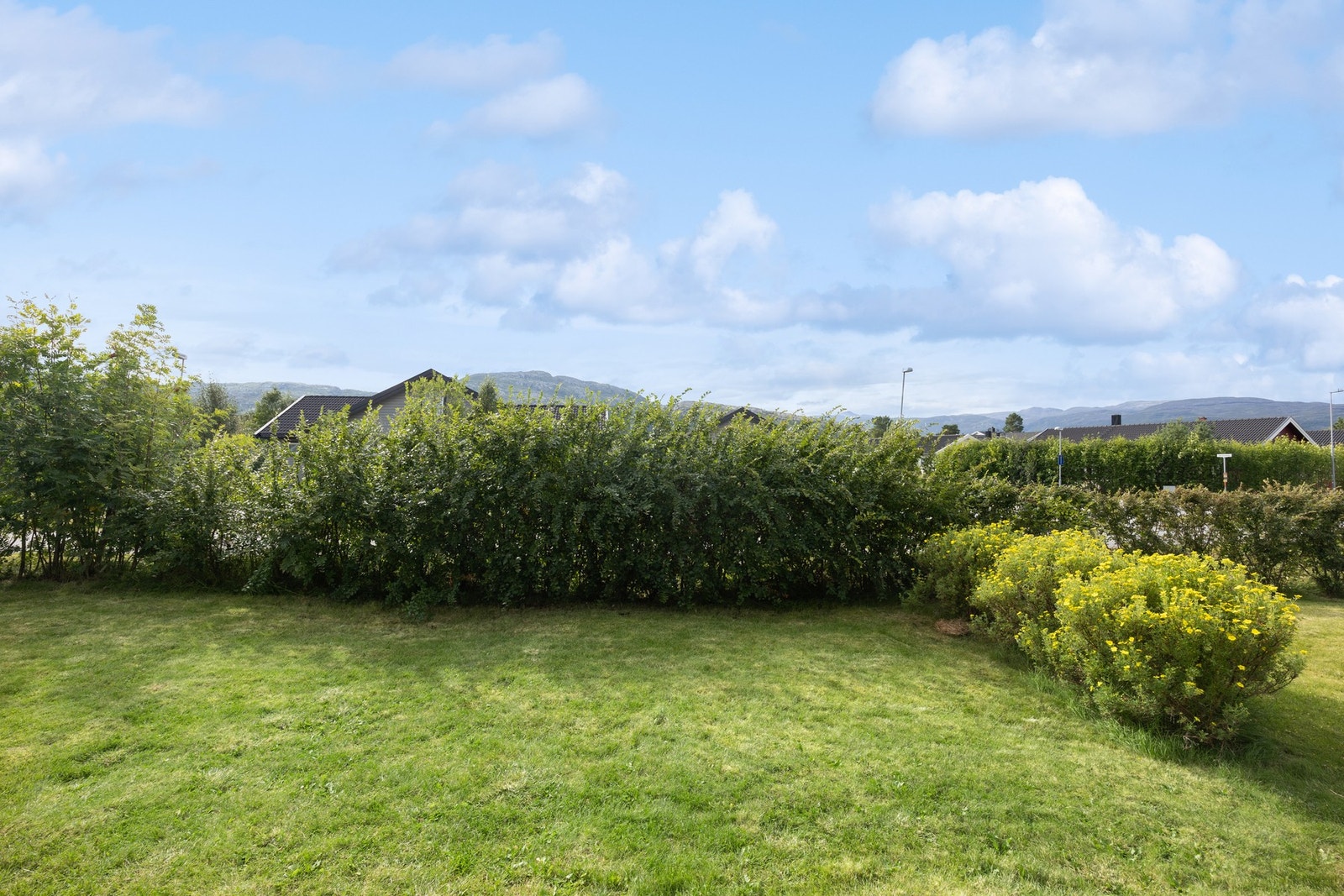 Uteområde Galleribilde