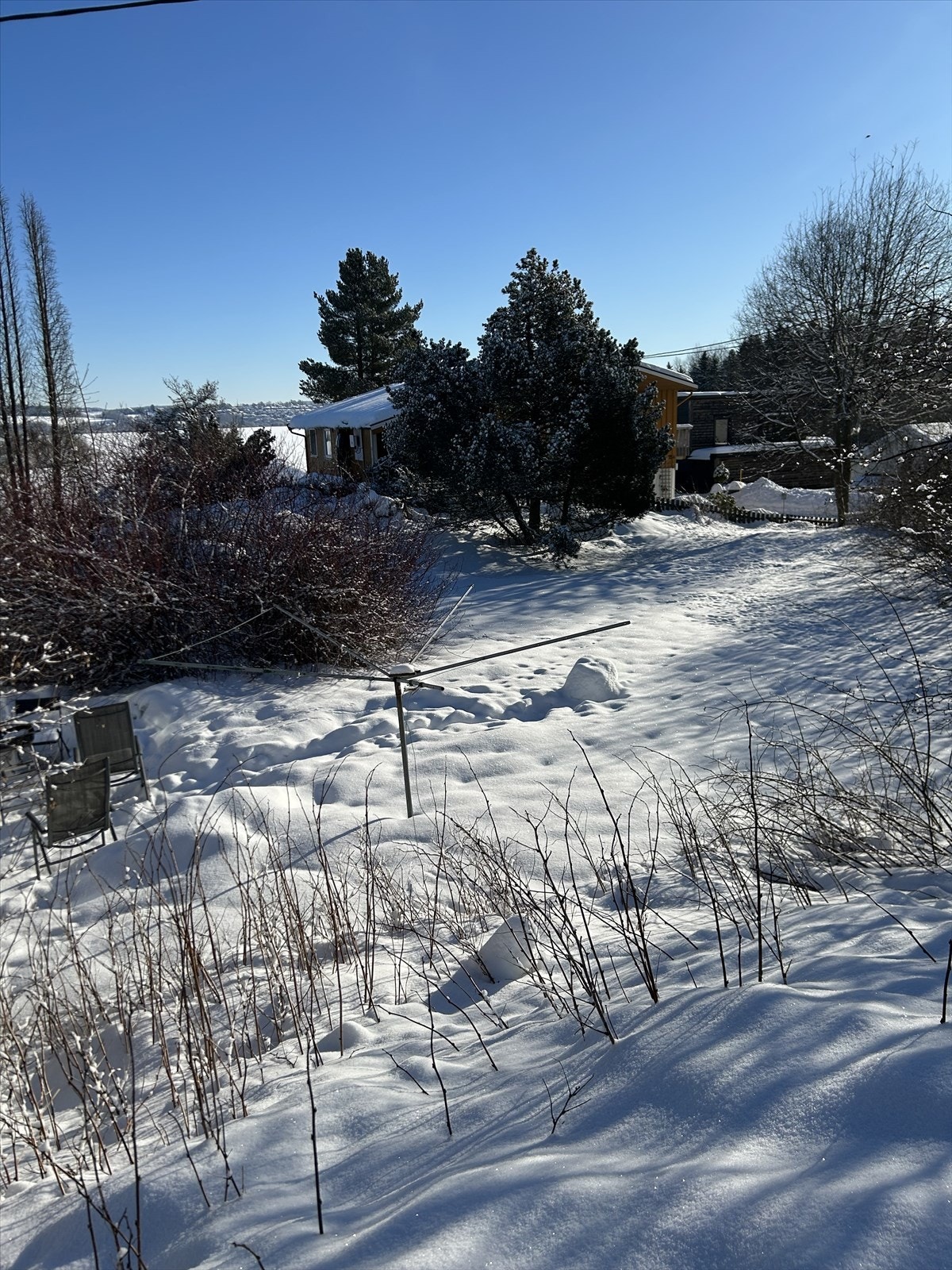 Tomten har gode solforhold. Galleribilde