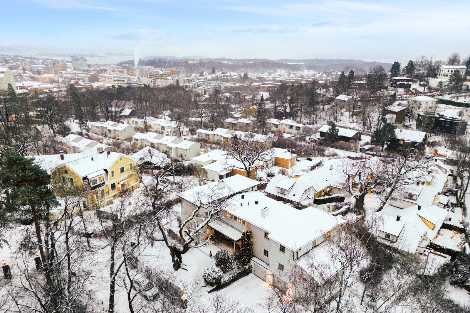 Dronefoto over nærområdet. Galleribilde