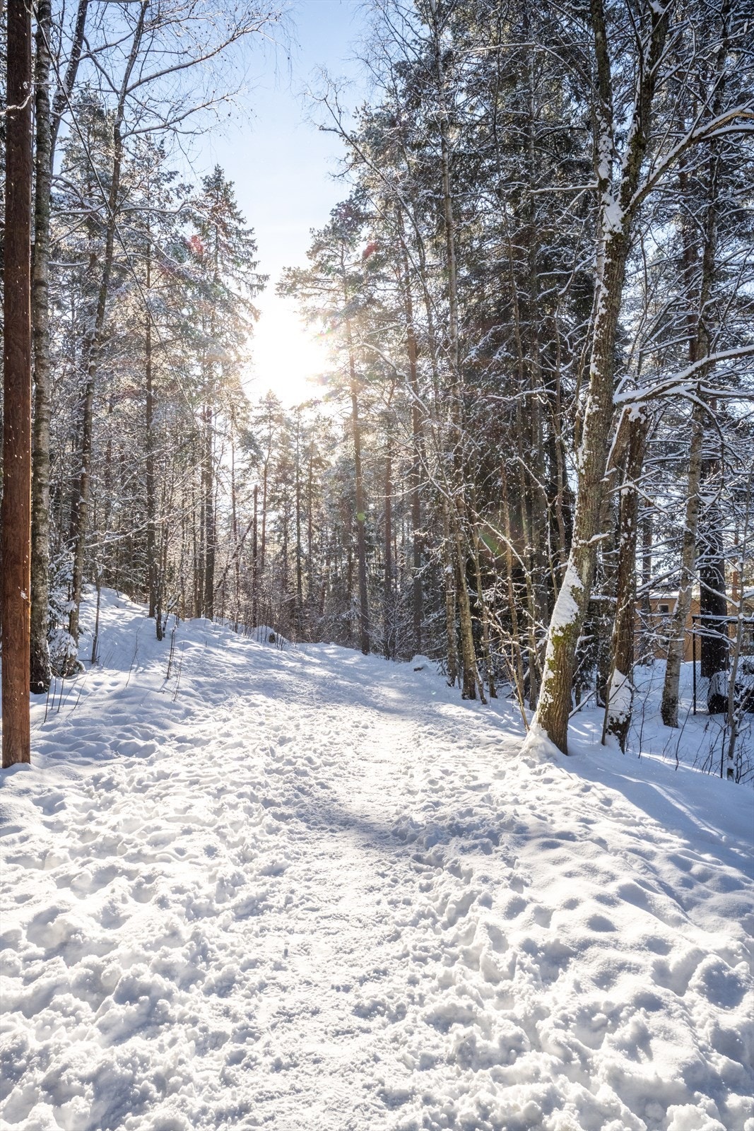 Med tursti og lysløype rett bak blokken er veien kort til rekreasjon i nærområdet. Galleribilde