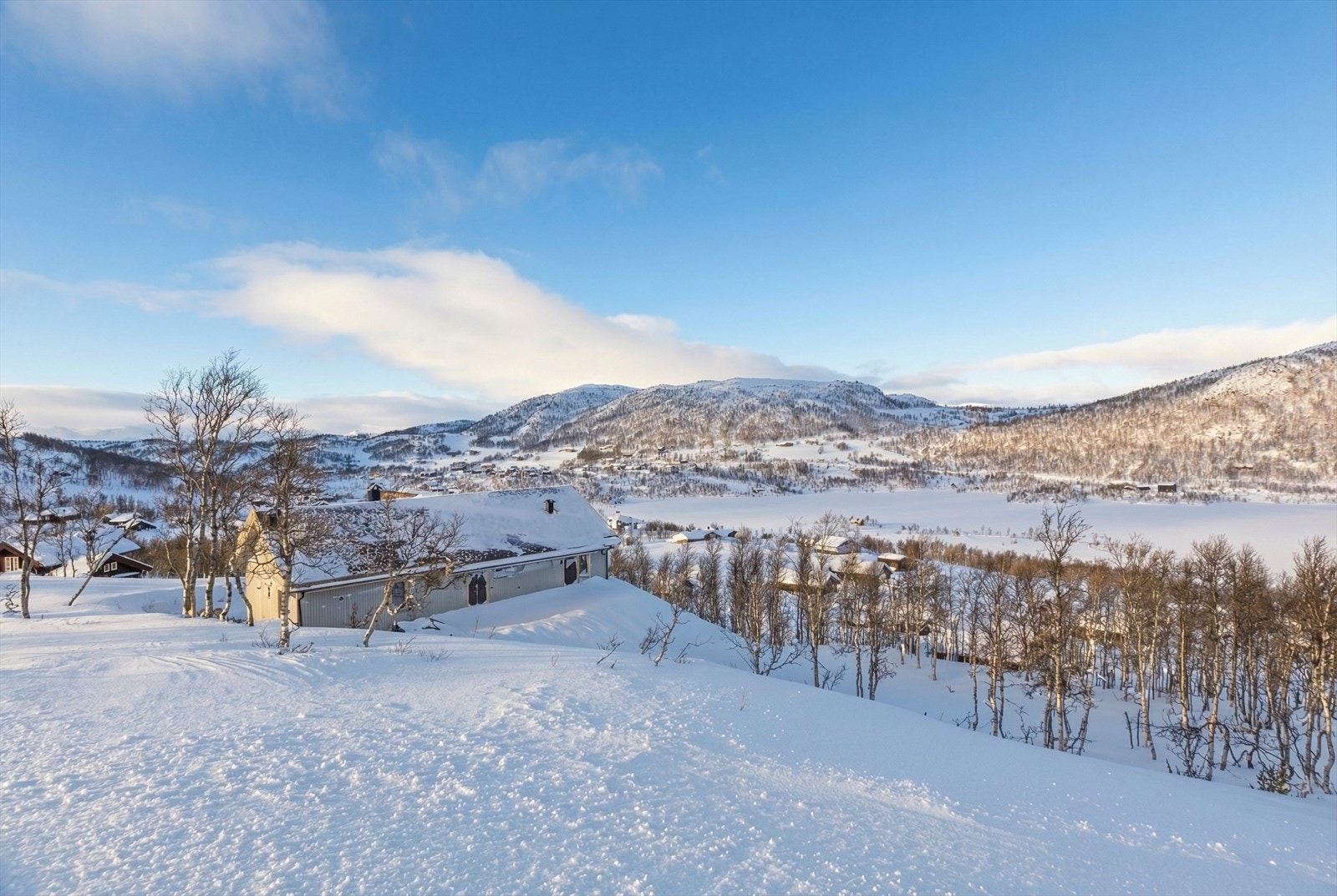Utsikten fra tomten mot Torvetjønn og mot fjellene i nordvest. Galleribilde