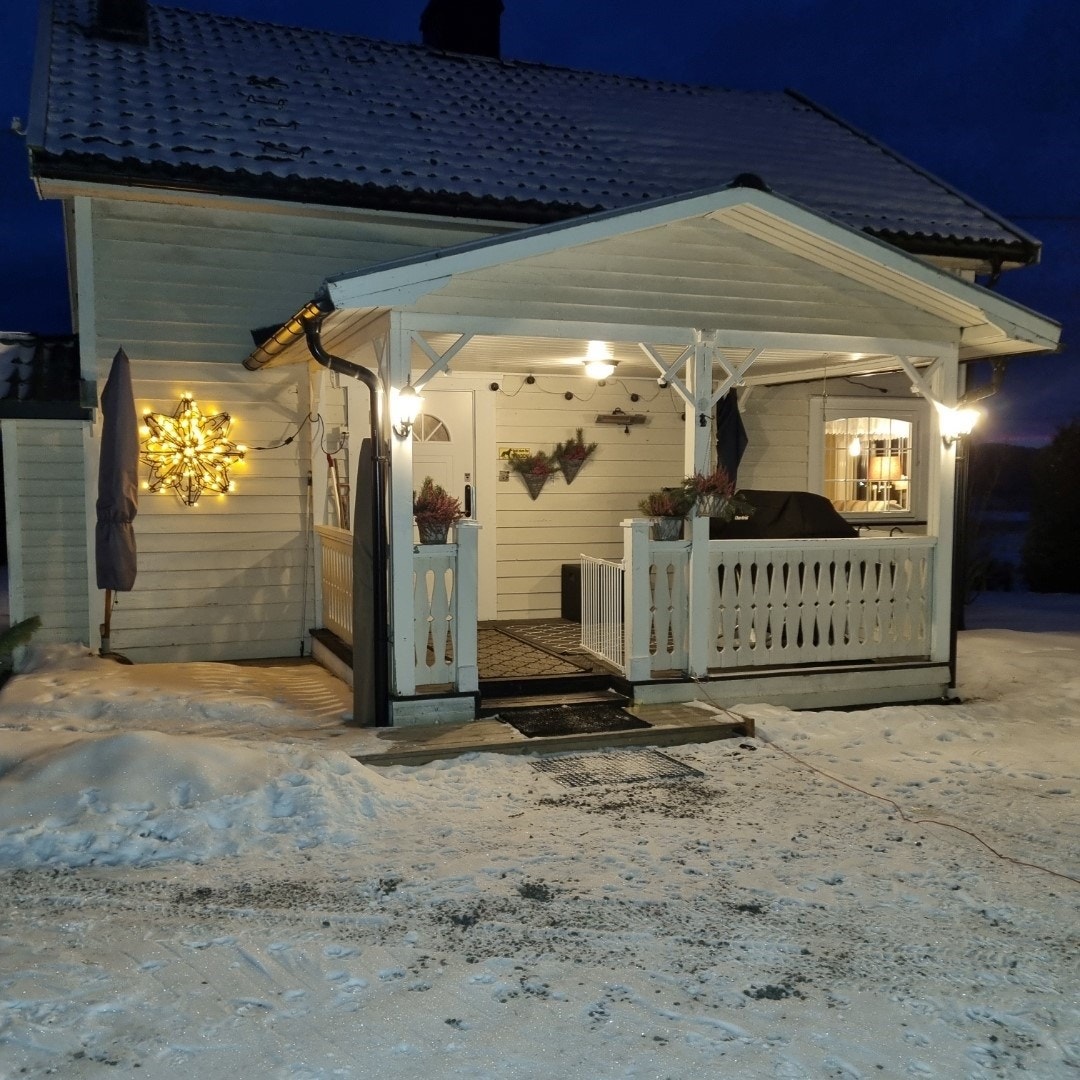 Selgers bilde. Galleribilde