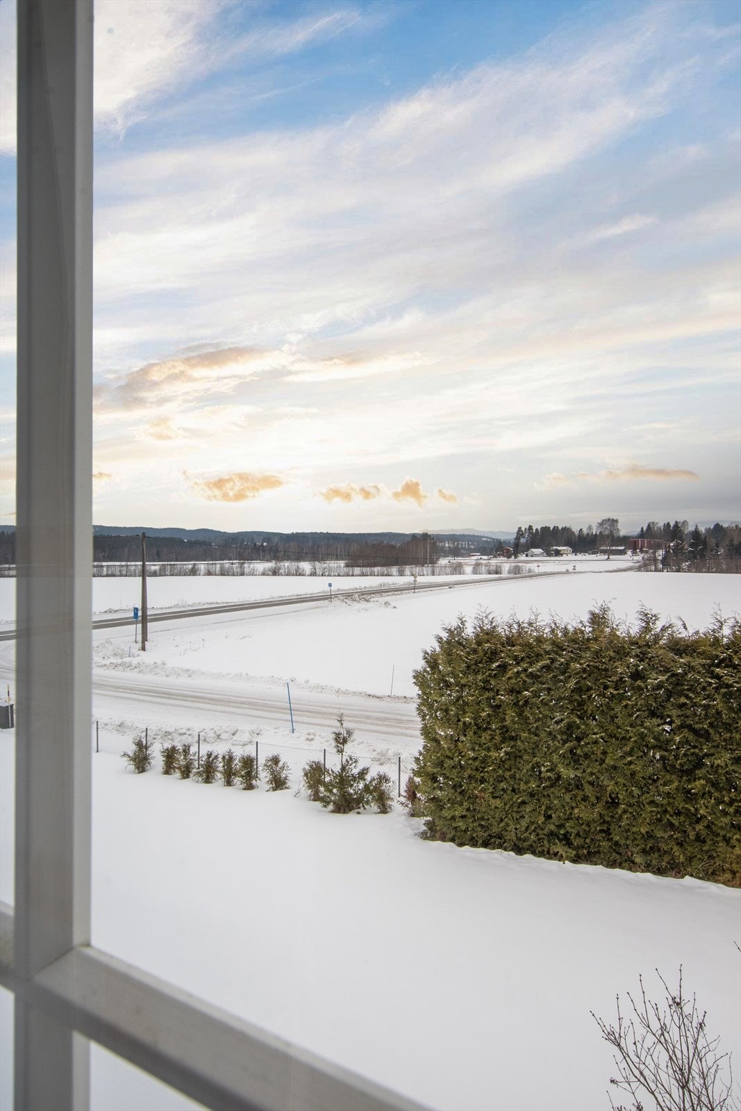 Utsikt fra hovedsoverommet. Galleribilde