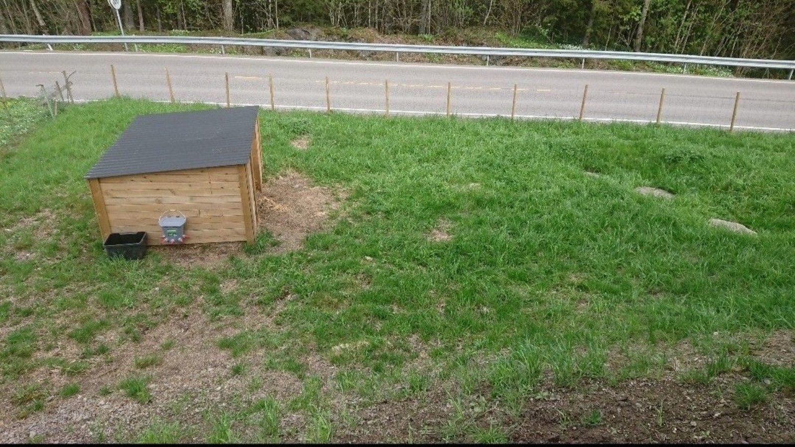 Selgers private bilder. Galleribilde