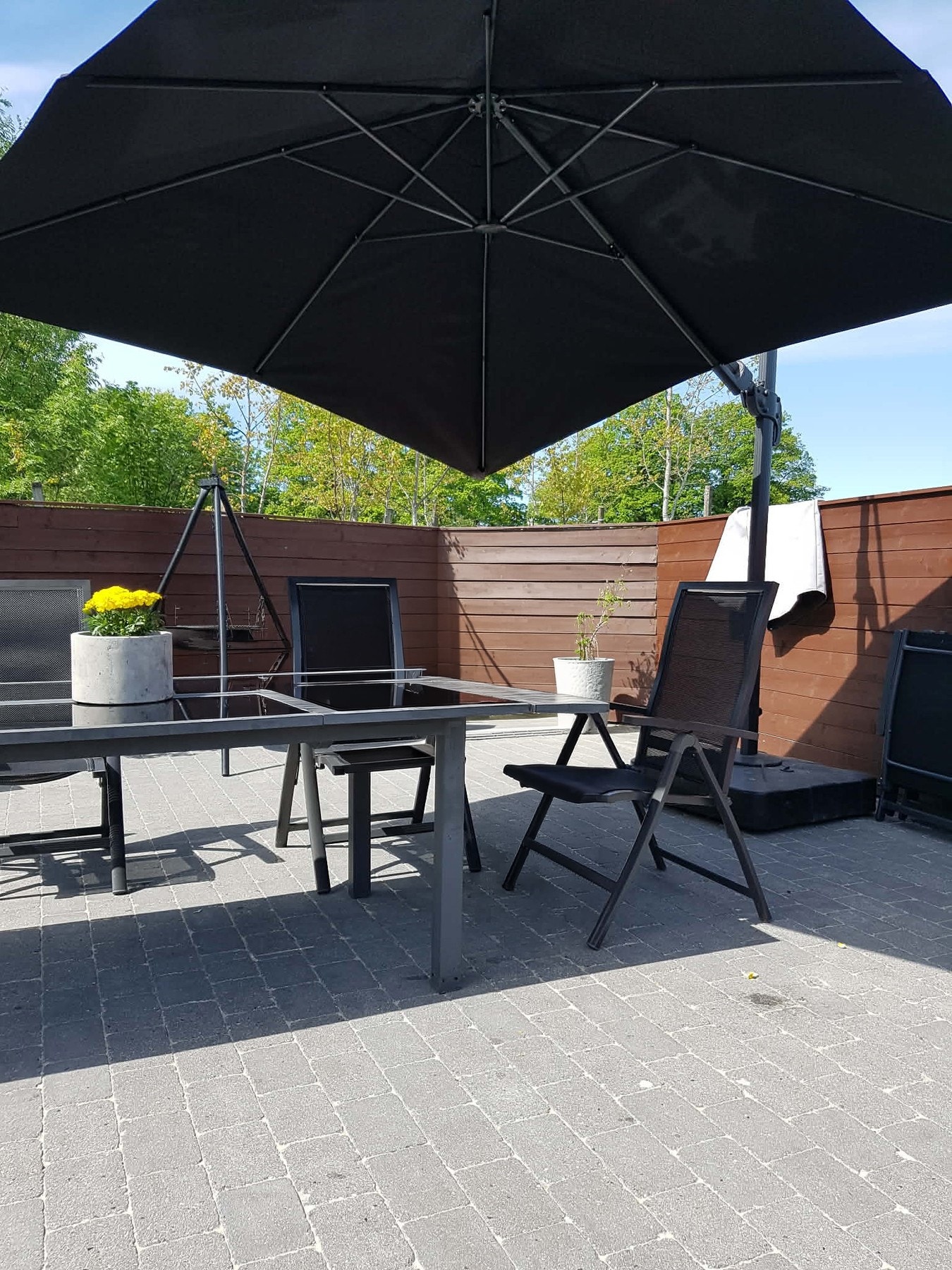 Selgers private bilder. Galleribilde