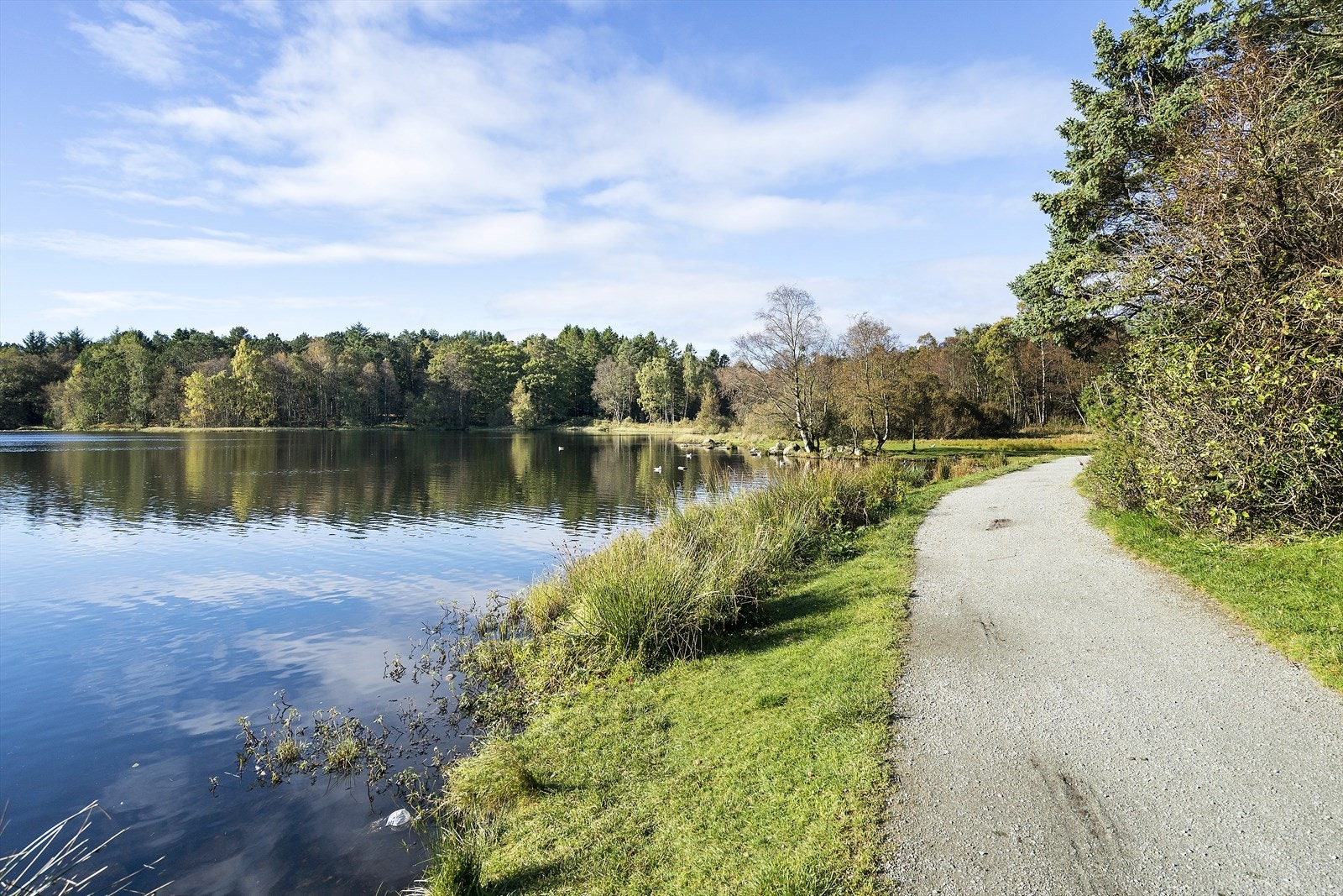 Nærområde. Galleribilde