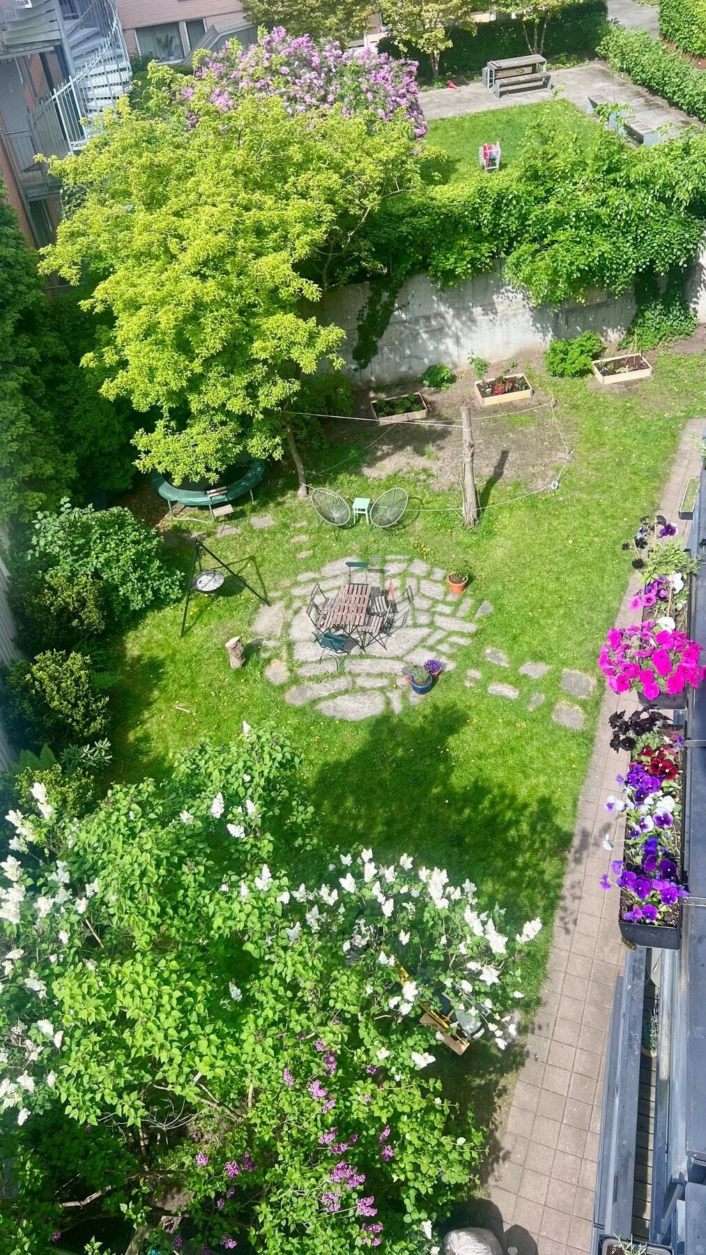 Flott opparbeidet og skjermet bakgård med tilgang til nyoppført sykkelstativ, hobbyrom og fellesvaskeri. Galleribilde