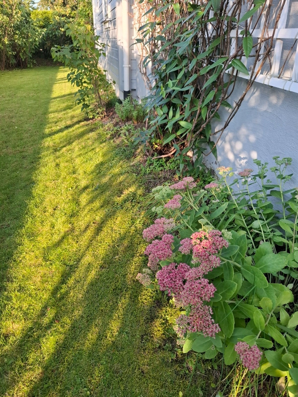 Selgers egne bilder. Galleribilde