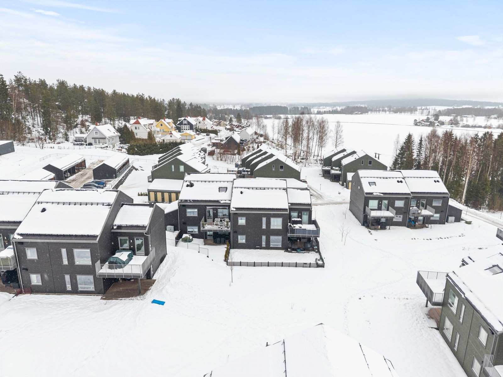 Velkommen til visning! Galleribilde