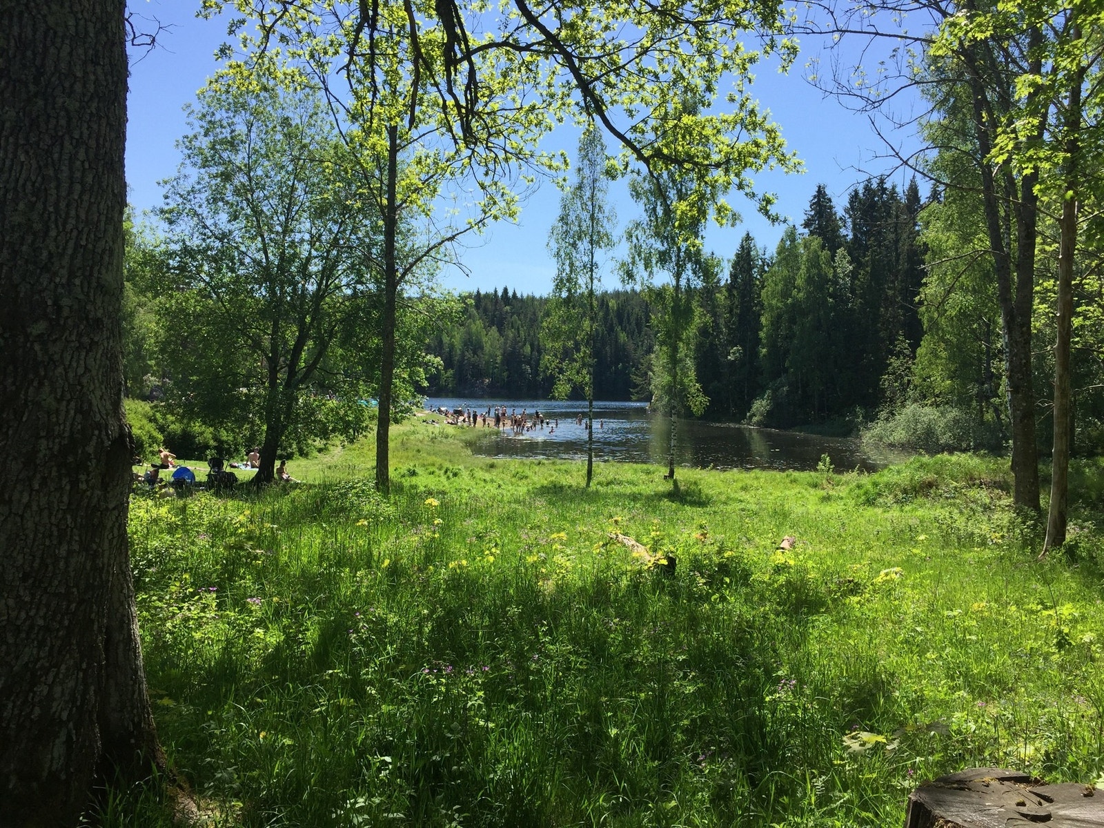 Kort vei til Østmarka med blant annet Nøklevann og Lutvann. Galleribilde