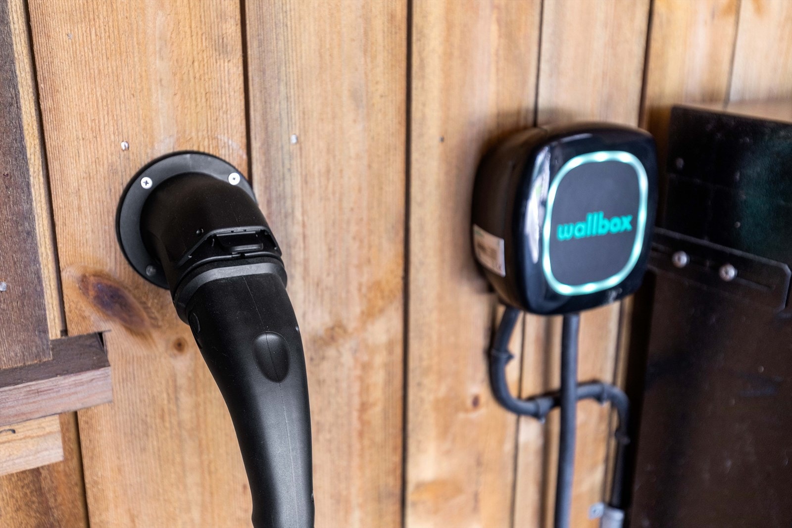 El - billader Galleribilde