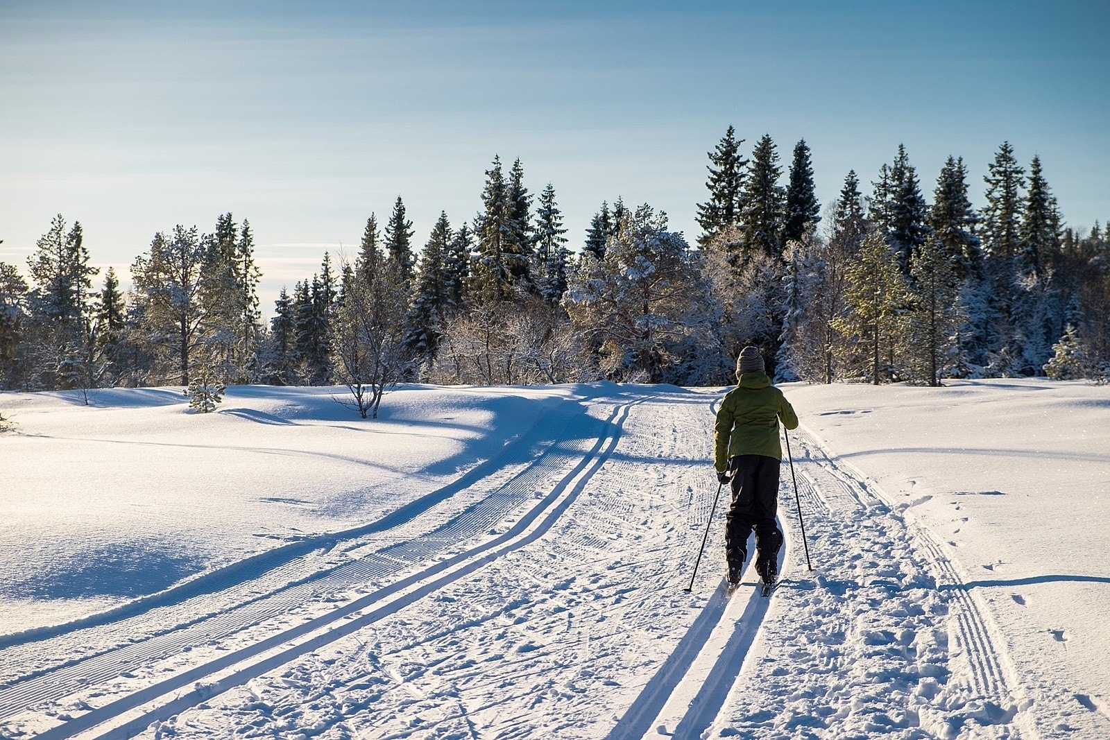 Bymarka er en fantastisk destinasjon sommer som vinter. Ved starten av Lundåsen går det skispor og turstier som leder inn i bymarka og er perfekt for den som er glad i natur og friluft. Galleribilde