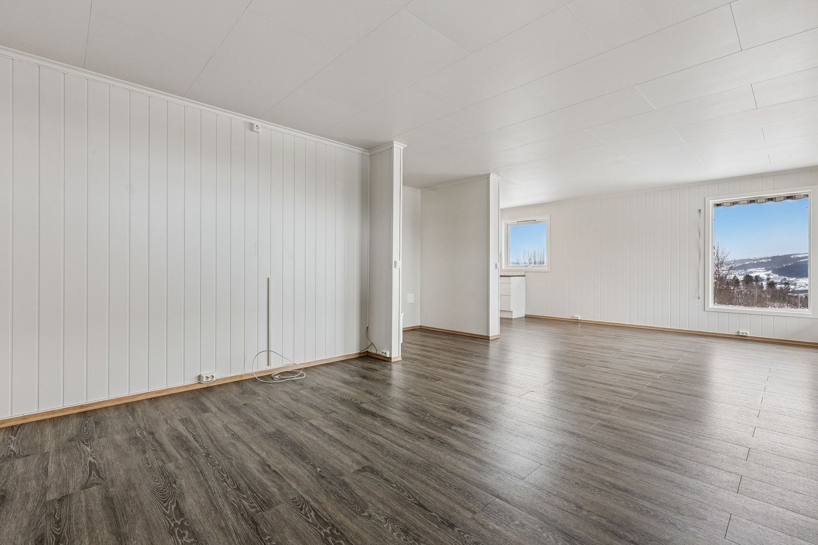 Stuen har god plass til både sofagruppe og øvrig møblement. Galleribilde