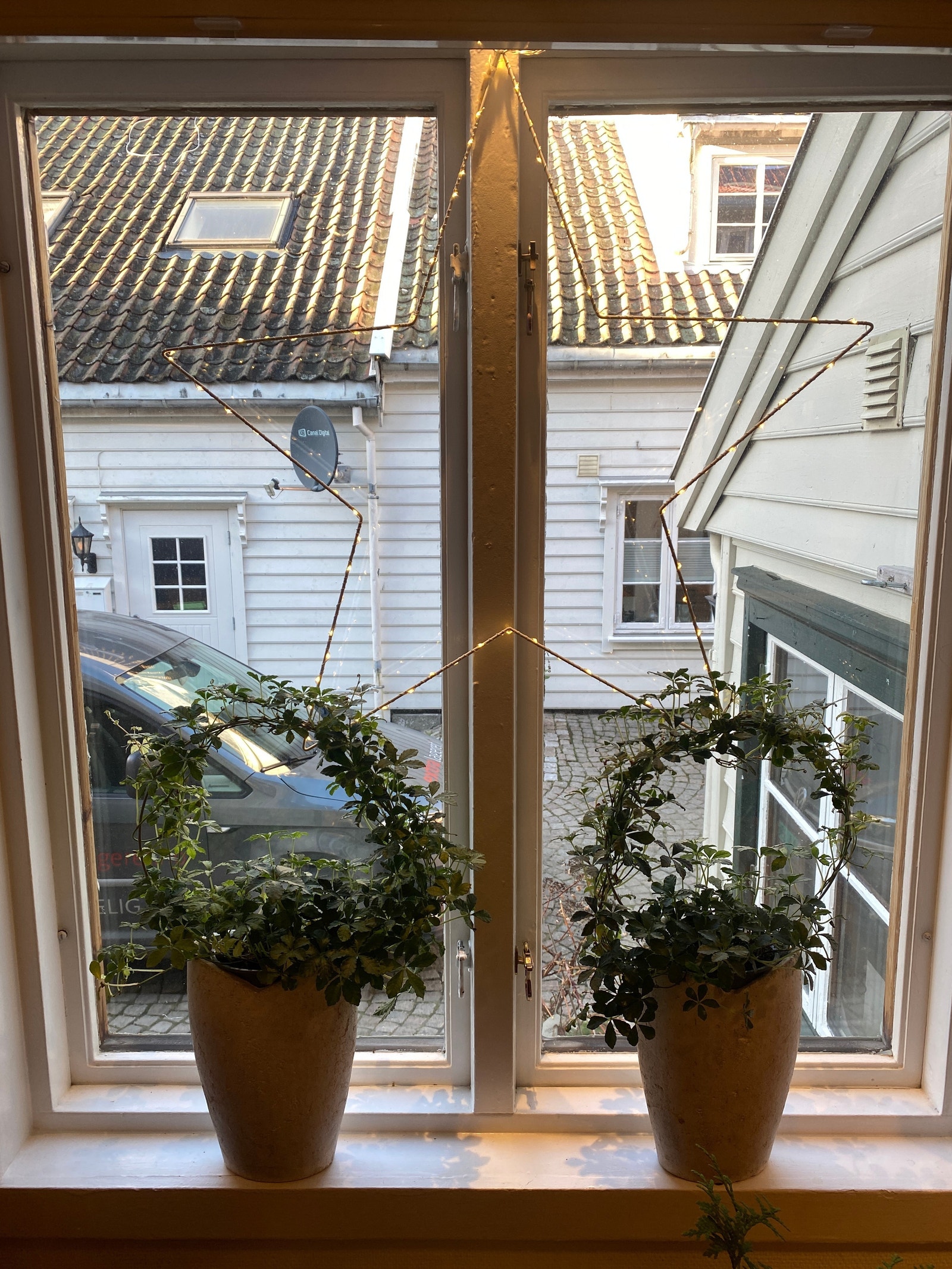 Hyggelig utsikt i bakgården Galleribilde
