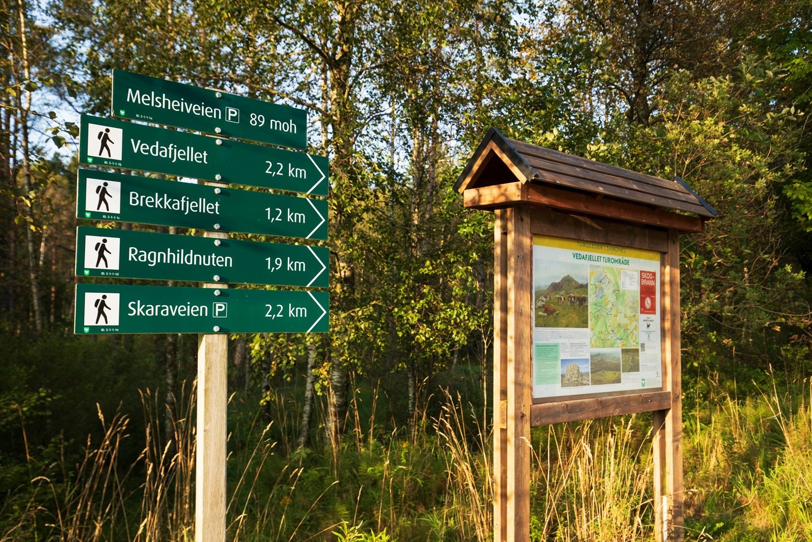 Nærområde Galleribilde