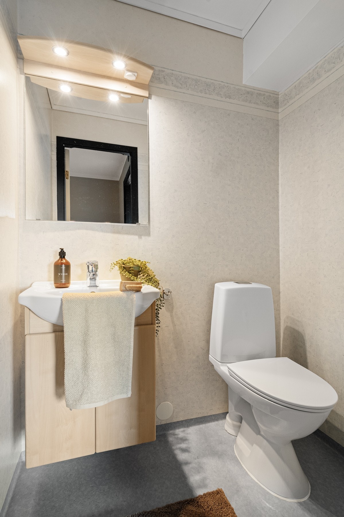 Toalettet ble skiftet ut i 2024. Galleribilde