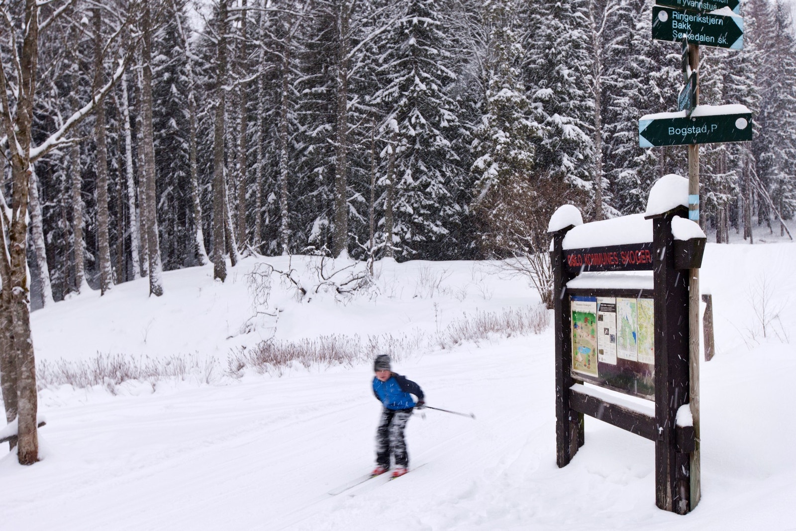 God skitur! Galleribilde