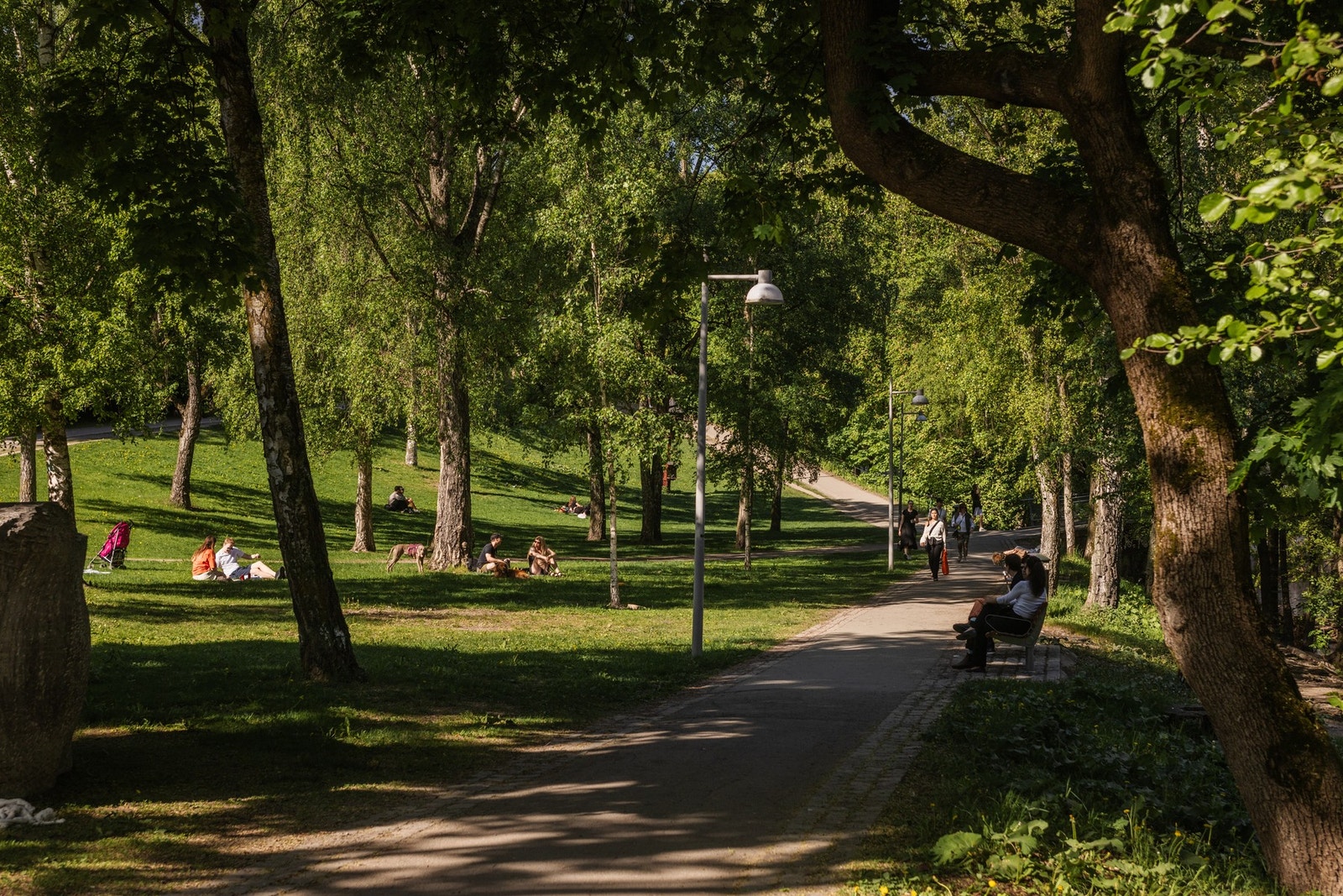 Akerselva og Kubaparken ligger også rett ved og byr på koselig parkliv og fine turområder. Galleribilde