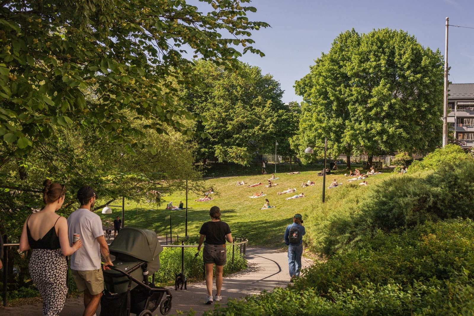 Akerselva og Kubaparken ligger også rett ved og byr på koselig parkliv og fine turområder. Galleribilde