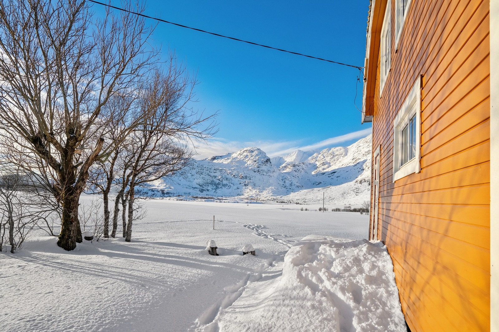 Rise består hovedsakelig av store landbruksarealer, hvor det også er beitedyr i nærheten. For barn kan det være spennende å komme tett på dyr, og området gir gode muligheter for lek med store åpne flater. Galleribilde