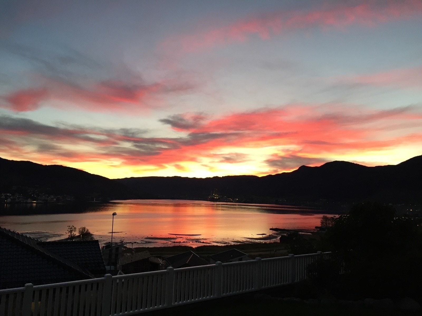 Eple501.jpg Galleribilde