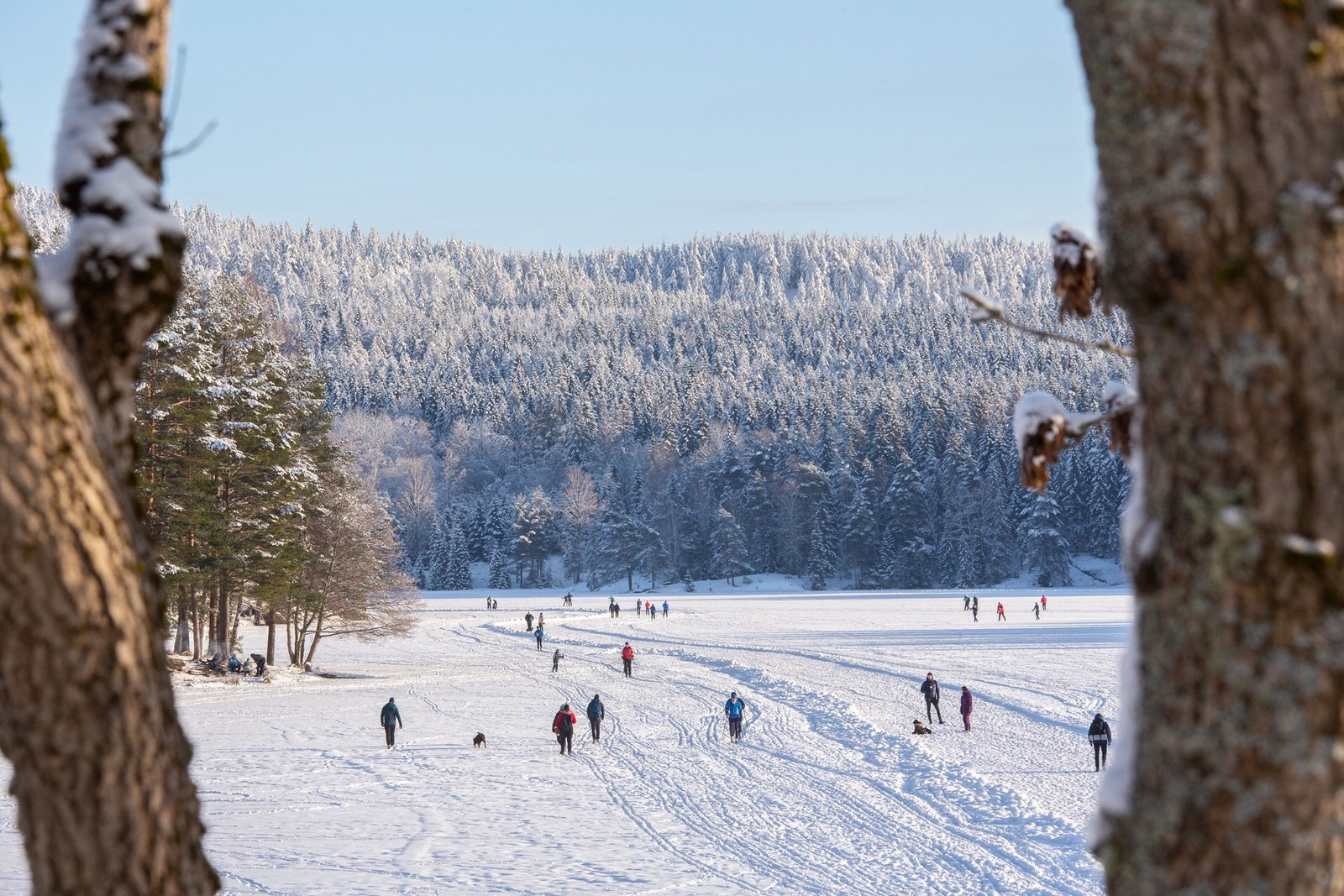 Flotte skiløyper og turløyper i Østmarka. Galleribilde