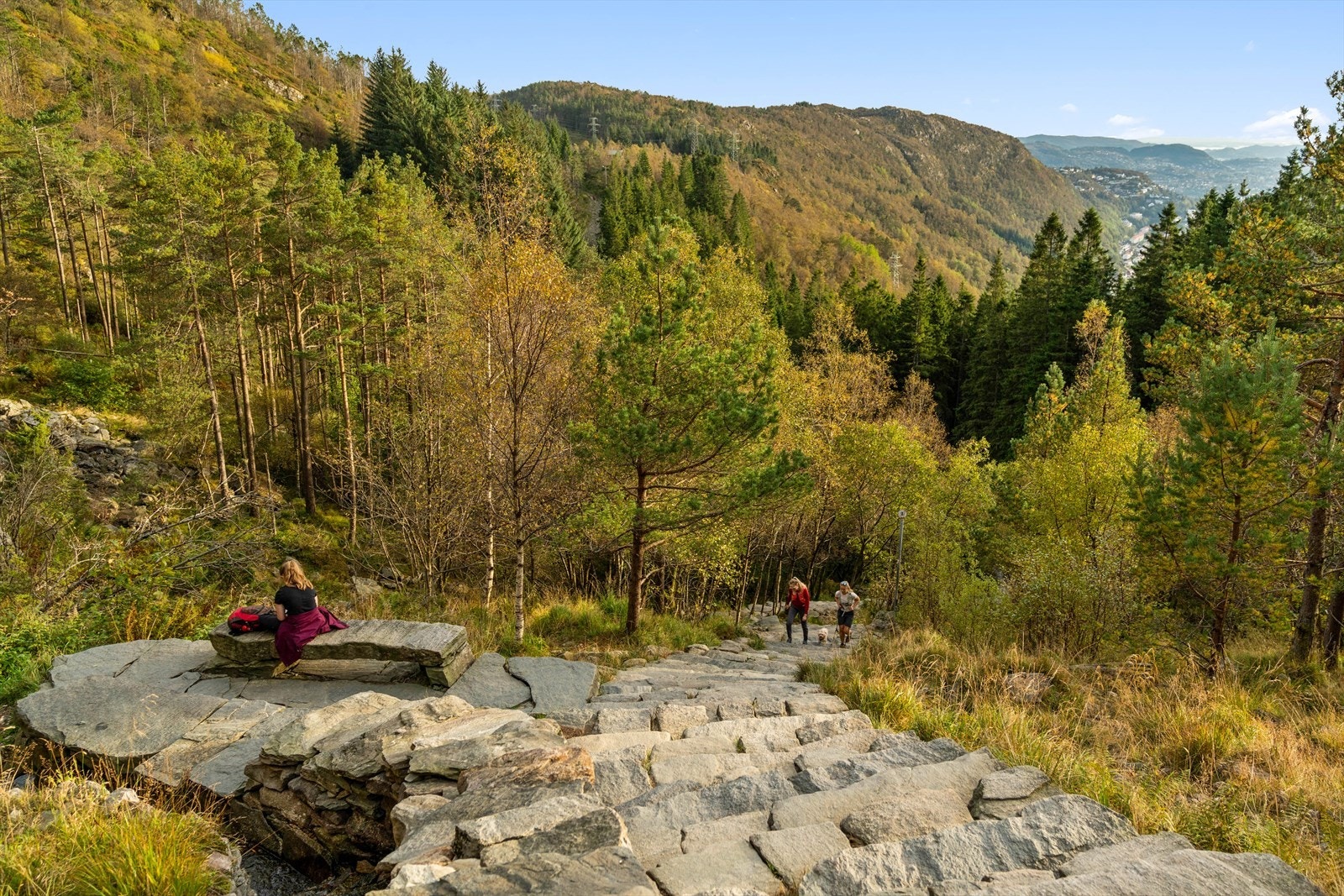 Ulriken, det høyeste av Bergens syv fjell, ligger innen kort avstand fra boligen og setter sitt karakteristiske preg på nærmiljøet. Fjellmassivet er et av Bergens mest kjente landemerker, og tilbyr et bredt spekter av naturopplevelser året rundt. Galleribilde