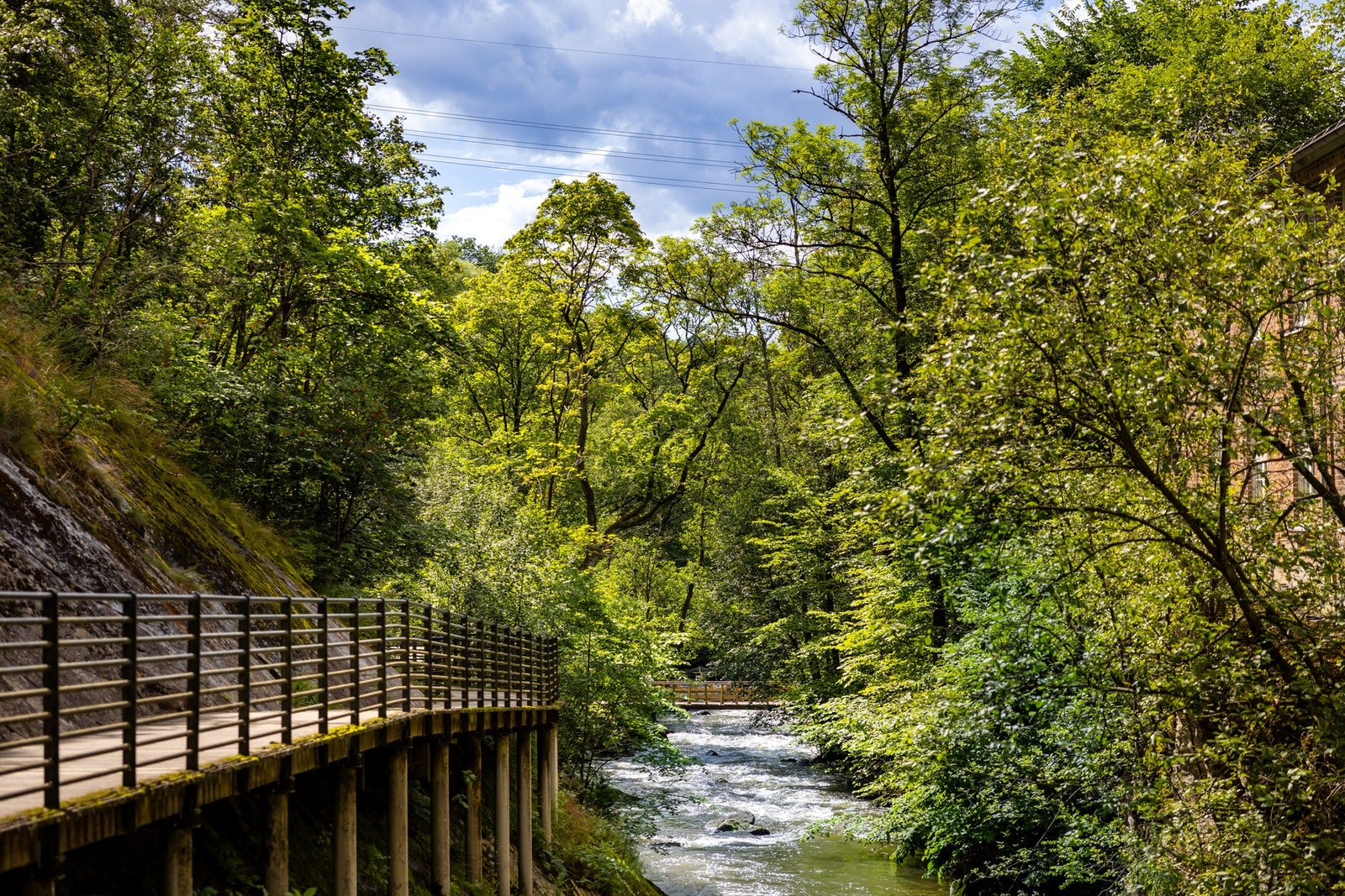 Langs Alnaelva kan man gå inn mot Svartdalen med flotte skogsområder for både turgåere og mosjonister. Svartdalsskogen som er Oslos siste urskog har fine turstier og er et ypperlig sted for å ta seg en joggetur. Galleribilde