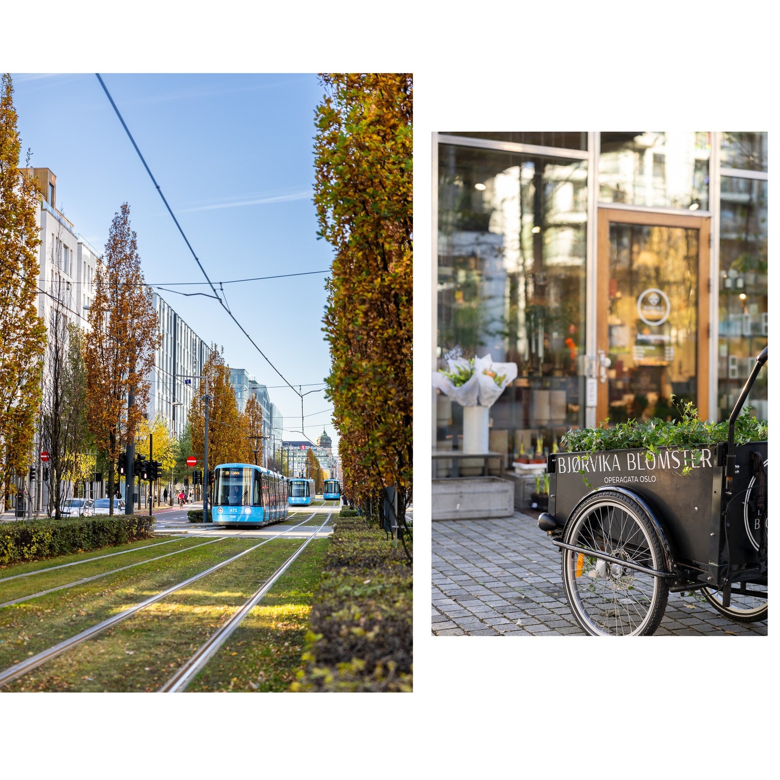 Attraktive handlegater og gode kollektivforbindelser rett utenfor døren. Galleribilde